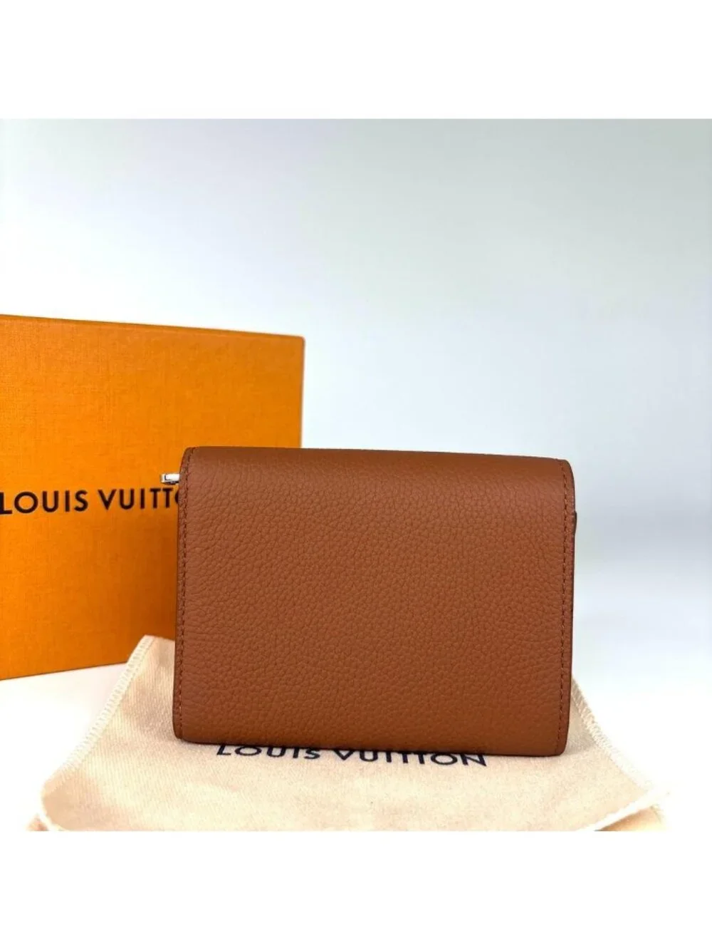 Louis Vuitton LV Aerogram Victor Wallet Trifold